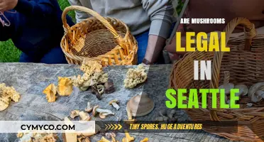 Exploring the Legality of Mushrooms in Seattle: A Comprehensive Guide