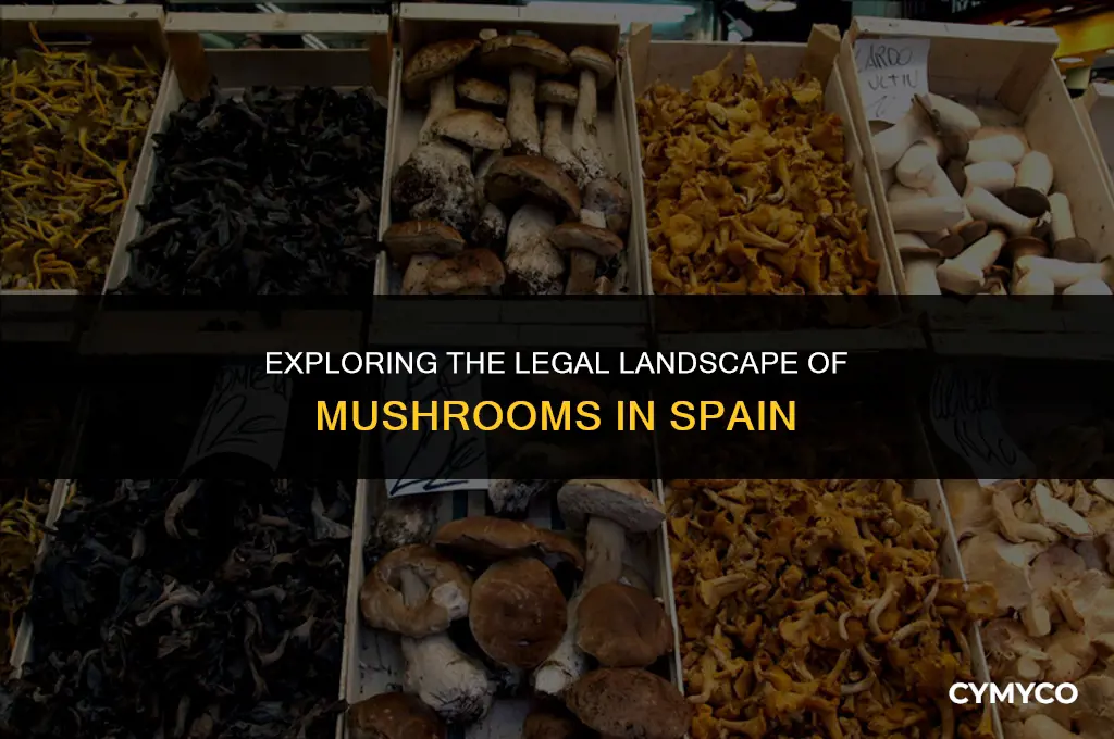 are mushrooms legal in spain