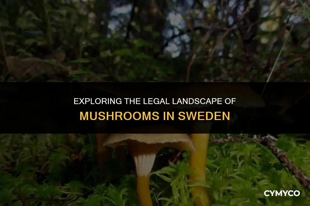 are mushrooms legal in sweden