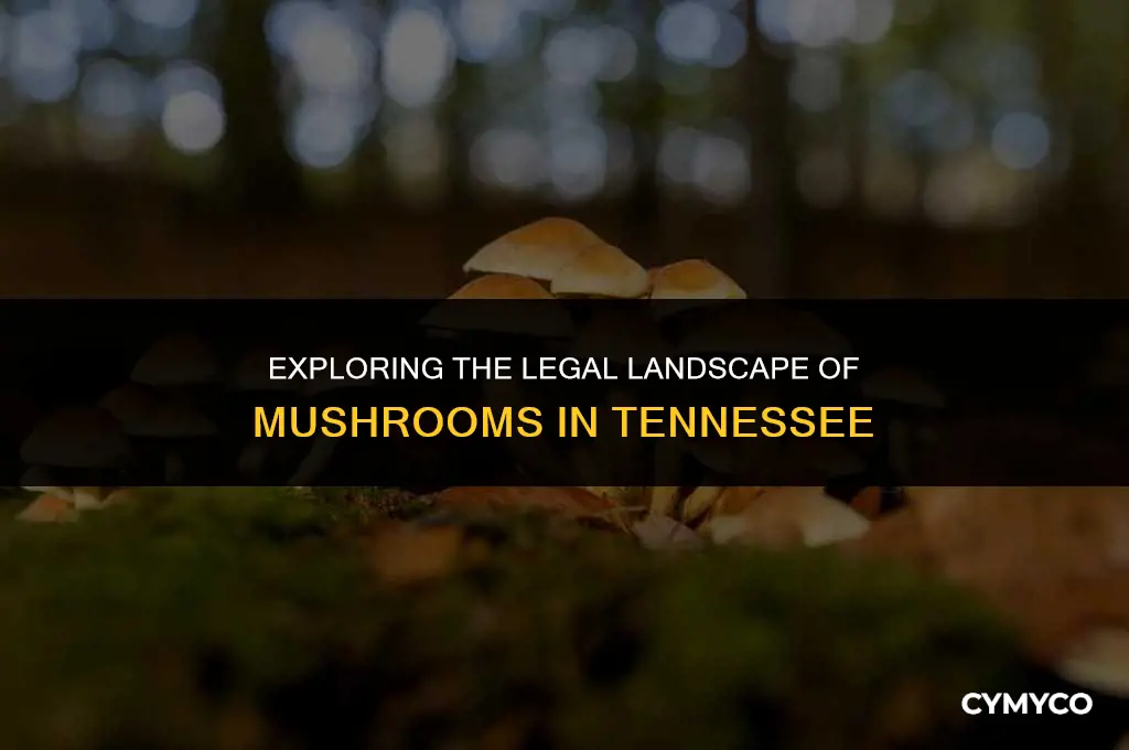 are mushrooms legal in tennesee
