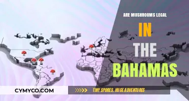 Exploring the Legal Status of Mushrooms in the Bahamas