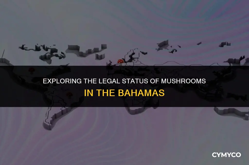 are mushrooms legal in the bahamas