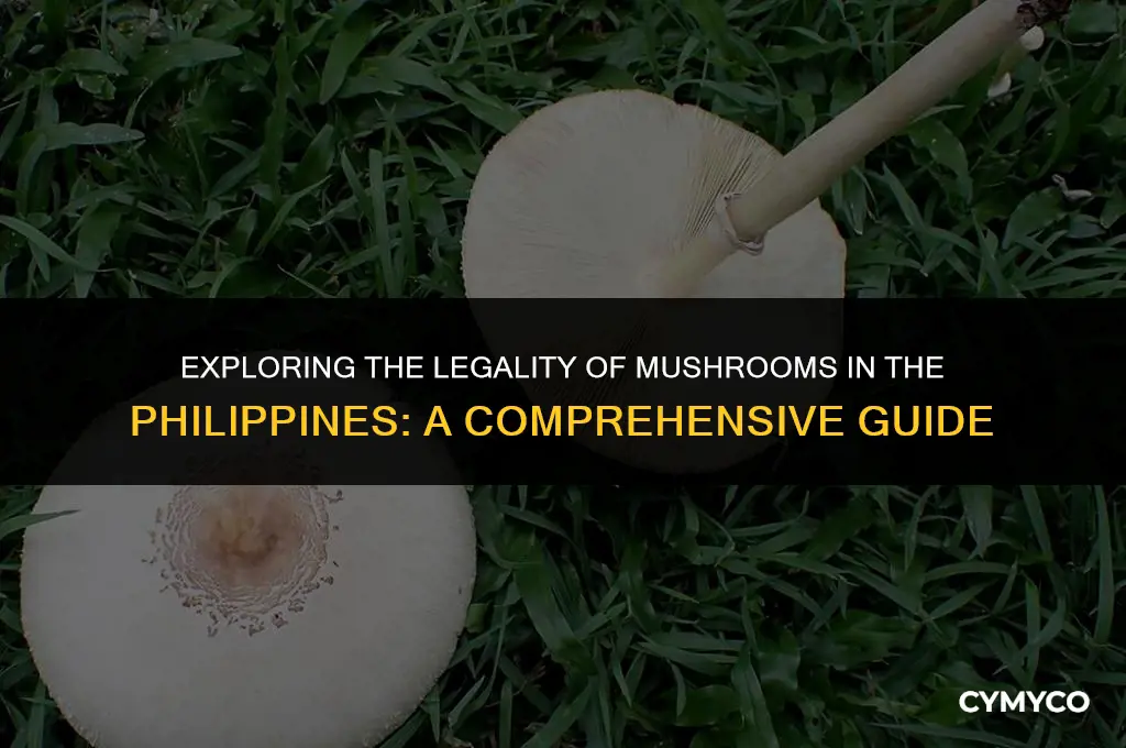 are mushrooms legal in the philippines