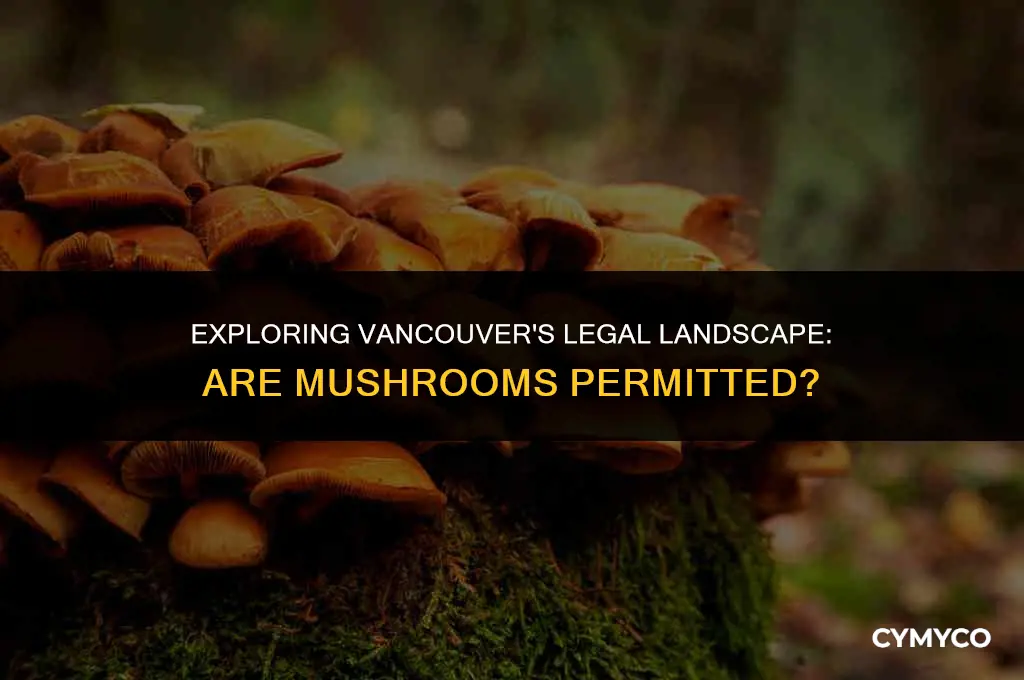 are mushrooms legal in vancouver