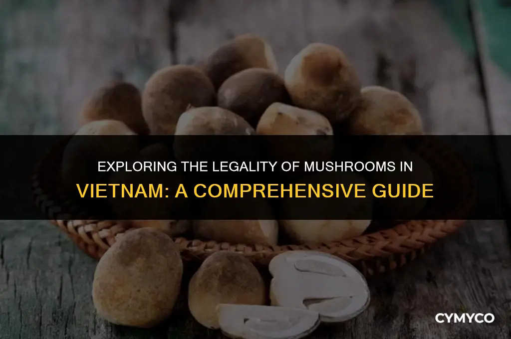 are mushrooms legal in viet nam