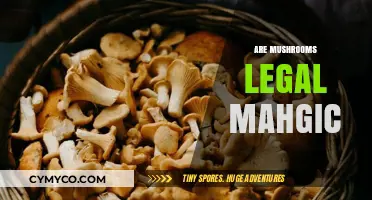 Exploring the Legal and Magical Realms of Mushrooms