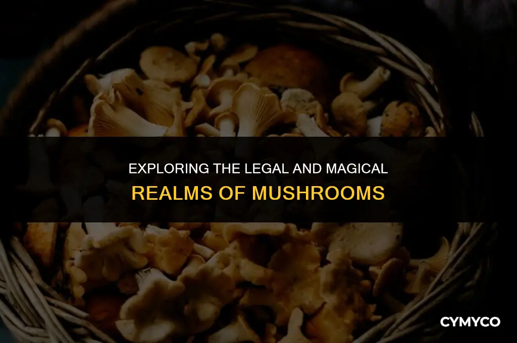 are mushrooms legal mahgic