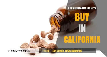 Are Mushrooms Legal in California? A Comprehensive Guide to Psilocybin Laws