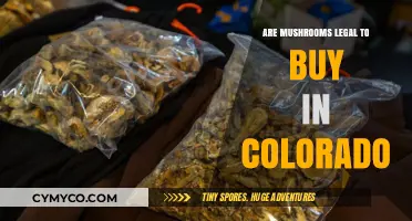 Are Mushrooms Legal in Colorado? A Comprehensive Guide to Psilocybin Laws