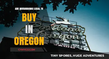 Oregon's Mushroom Laws: What's Legal to Buy in 2023?
