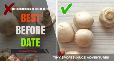 Savoring Safely: A Guide to Eating Mushrooms Past Their Prime