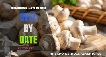 Exploring Edibility: Mushrooms Beyond Their Sell-By Date