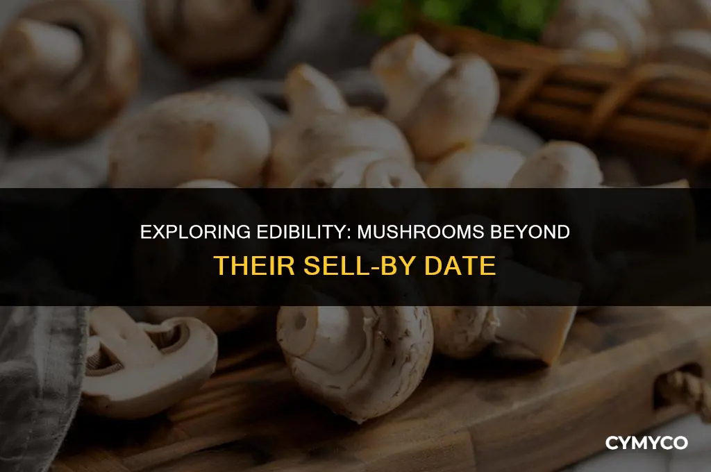 are mushrooms ok to eat after sell by date