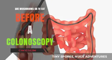 Exploring Edible Fungi: Safe Mushroom Consumption Before a Colonoscopy