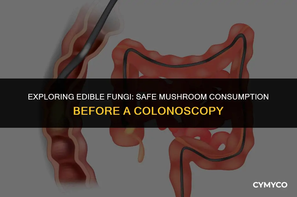 are mushrooms ok to eat before a colonoscopy