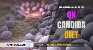 Exploring Edible Mushrooms on a Candida Diet: A Nutritional Guide