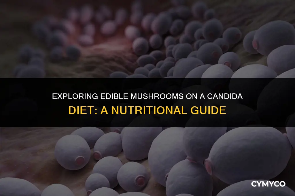 are mushrooms ok to eat on candida diet