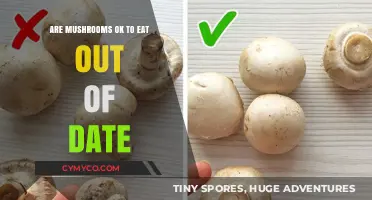 Freshness Matters: A Guide to Safely Consuming Mushrooms Past Their Prime