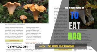 Exploring Edibility: A Guide to Safe Mushroom Consumption