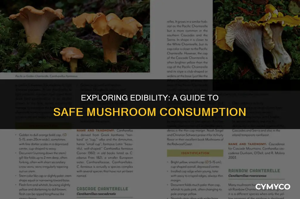 are mushrooms ok to eat raq