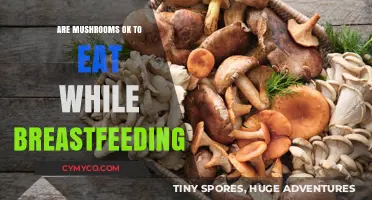 Nourishing Choices: The Safety of Mushrooms While Breastfeeding