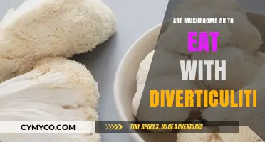 Exploring Edible Mushrooms: A Diverticulitis Patient's Guide