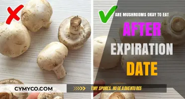 Savoring Safely: A Guide to Eating Mushrooms Past Their Prime