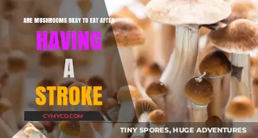 Exploring Edibility: Mushrooms and Stroke Recovery