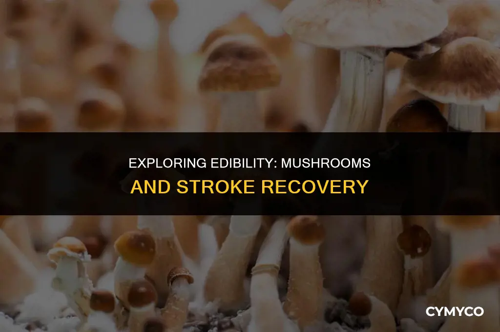 are mushrooms okay to eat after having a stroke