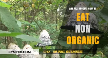 Exploring Edibility: Are Non-Organic Mushrooms Safe to Eat?