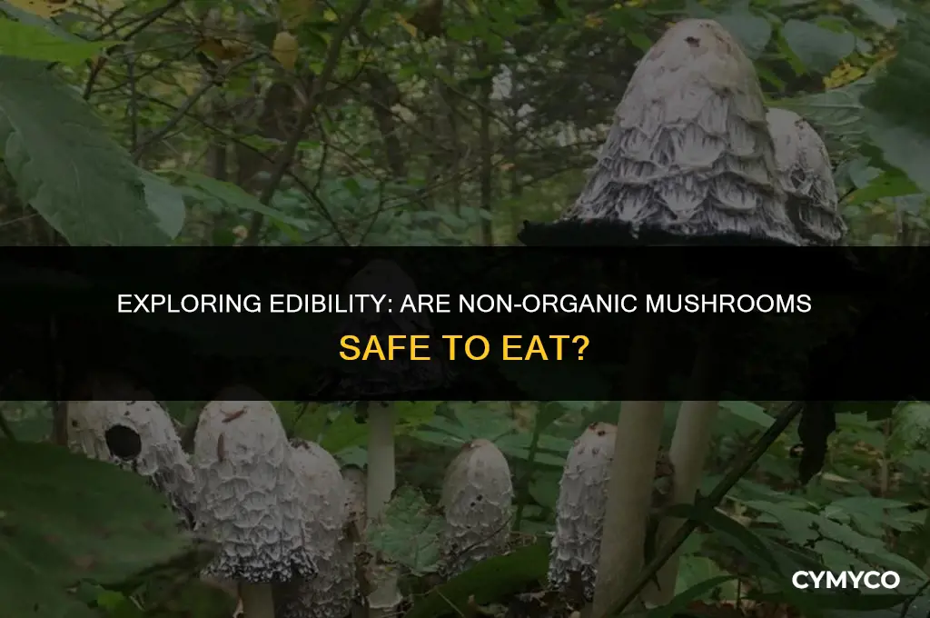 are mushrooms okay to eat non organic