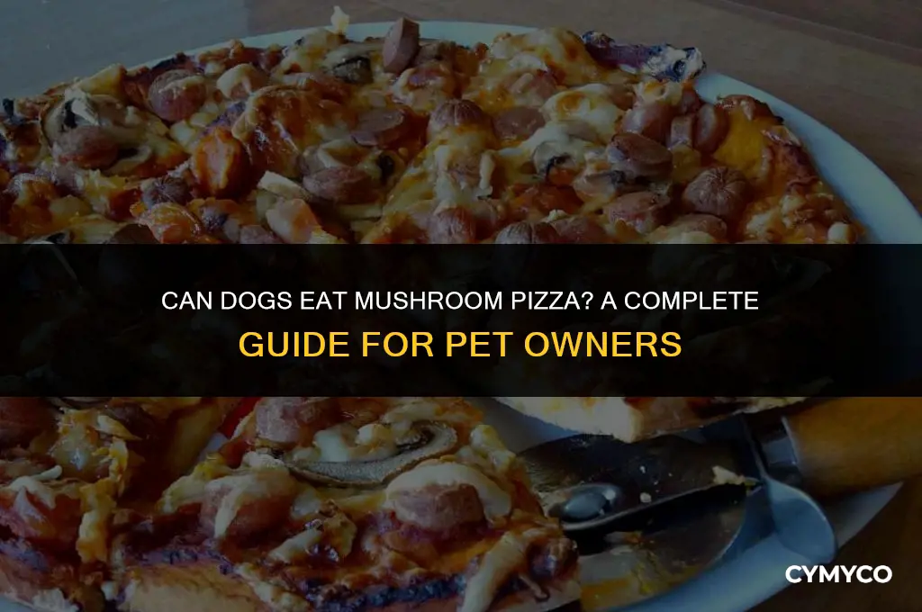 are mushrooms on pizza bad for dogs