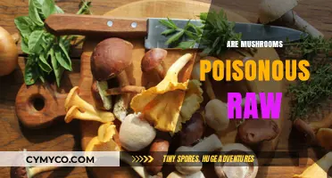 Exploring the Edibility of Raw Mushrooms: A Comprehensive Guide