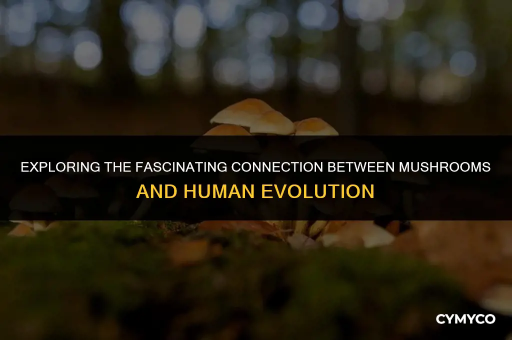 are mushrooms related to humans