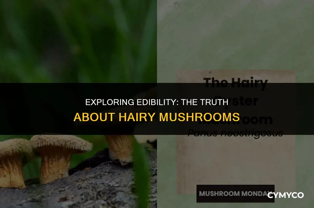 are mushrooms safe to eat if they get hairy
