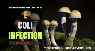 Navigating Edible Mushrooms While Battling E. Coli Infection