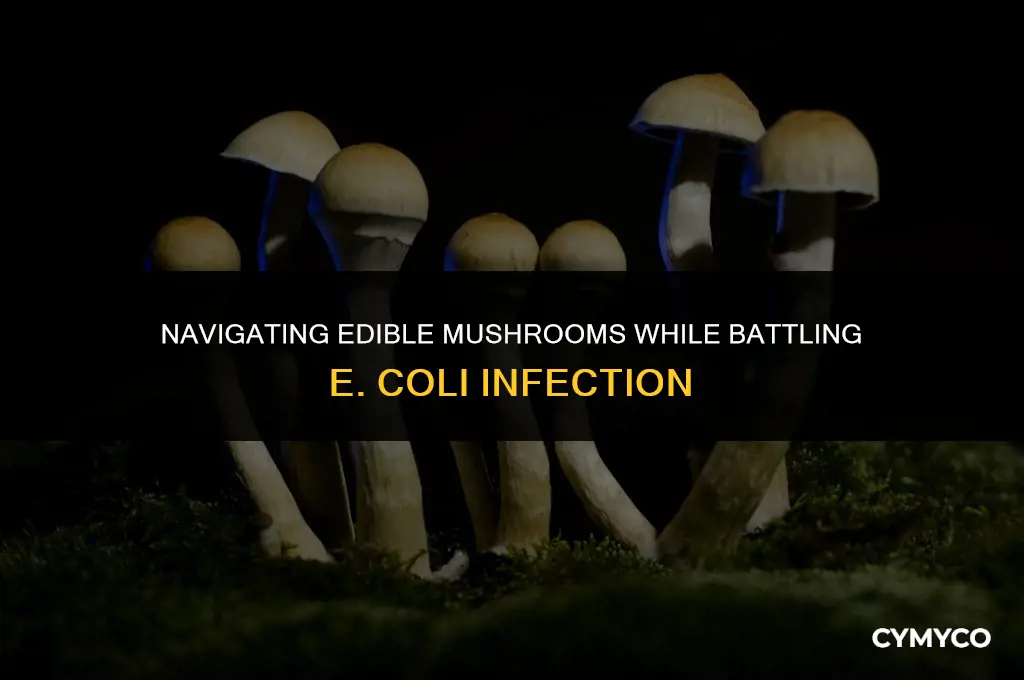 are mushrooms safe to eat with e coli infection