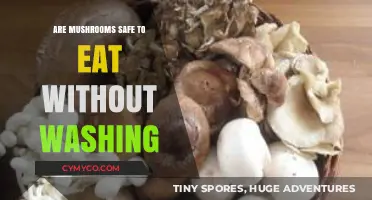 Exploring Edibility: The Truth About Washing Mushrooms Before Consumption