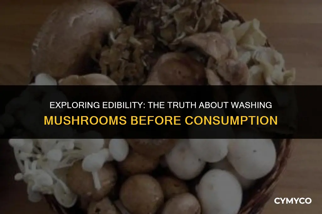 are mushrooms safe to eat without washing