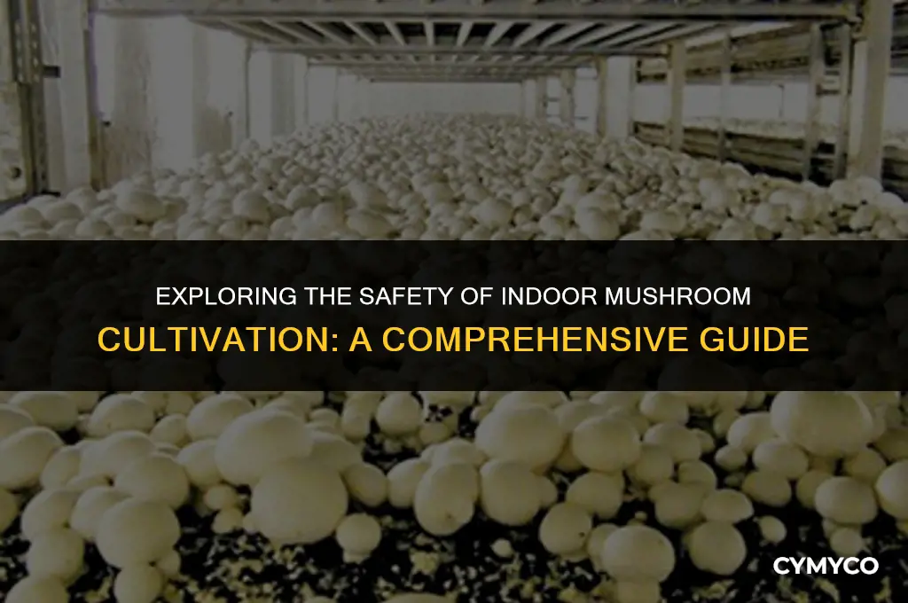 are mushrooms safe to grow indoors