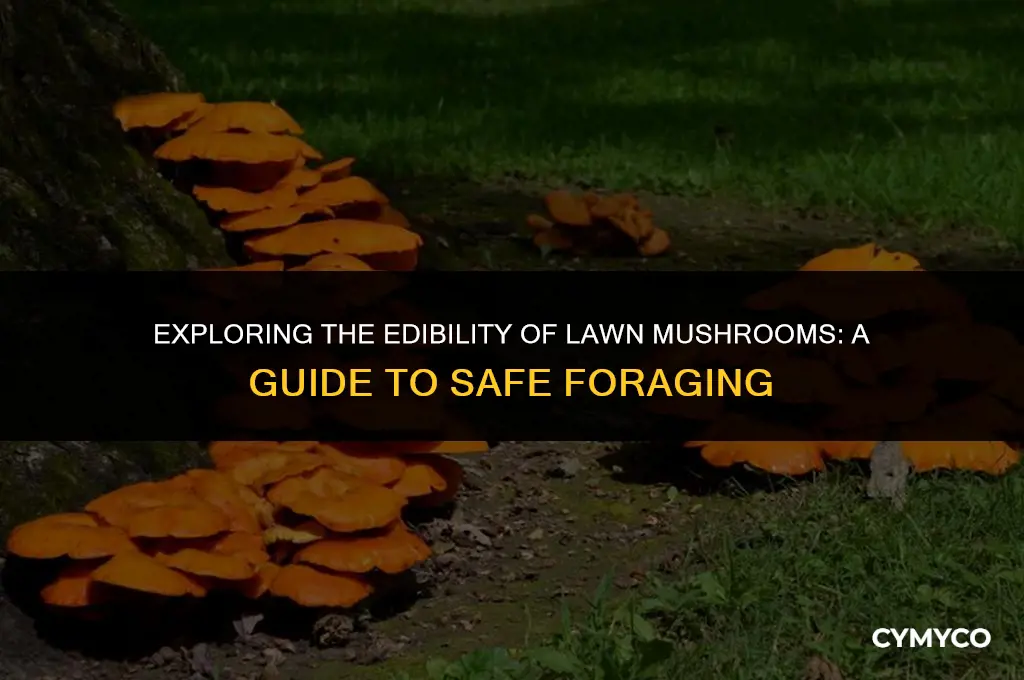 are mushrooms that grow in grass poisonous