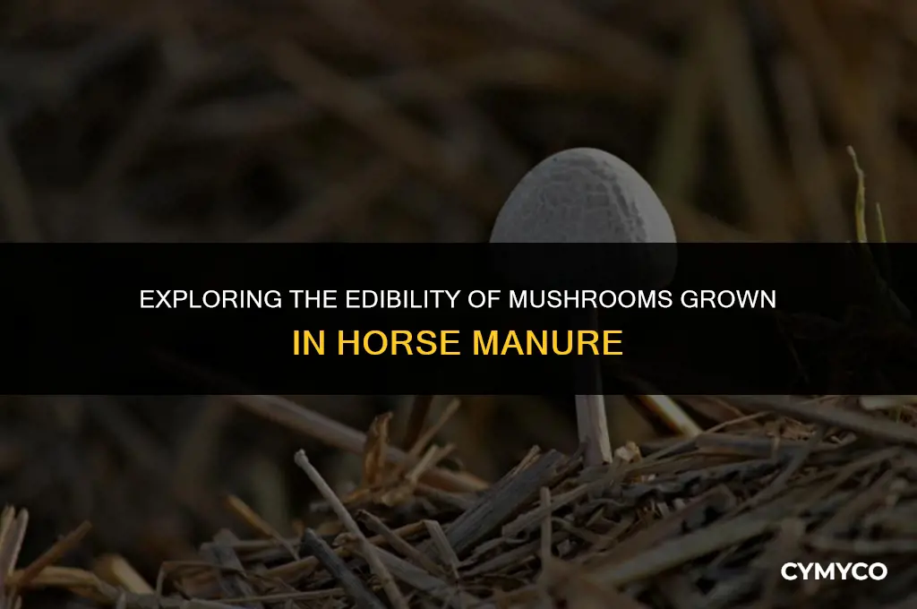 are mushrooms that grow in horse manure poisonous