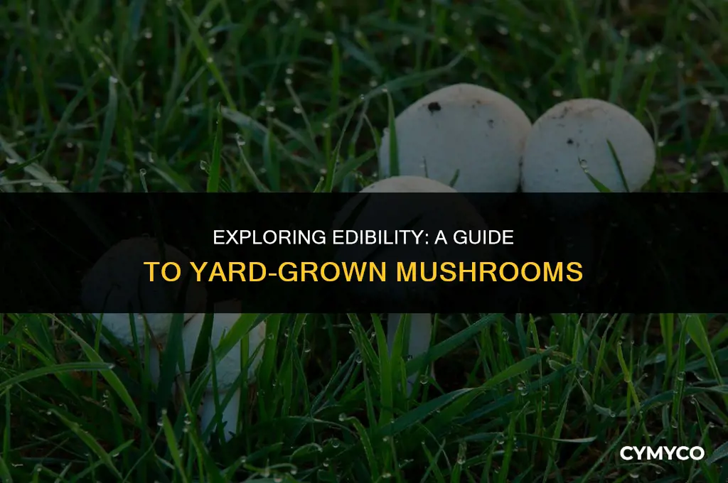 are mushrooms that grow in your yard edible
