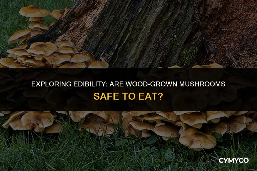 are mushrooms that grow on wood safe