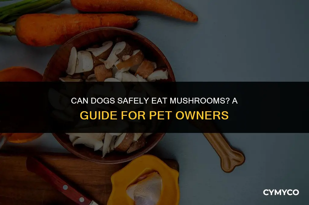 are mushrooms that people eat poisonous for dogs
