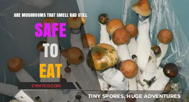 Decoding Edibility: The Truth About Mushrooms with Unpleasant Odors