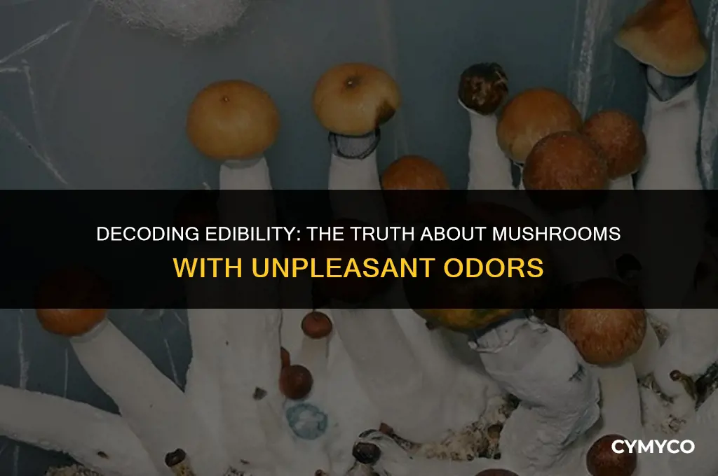 are mushrooms that smell bad still safe to eat