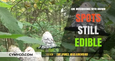 Are Mushrooms with Brown Spots Safe to Eat?