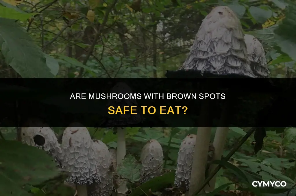are mushrooms with brown spots still edible