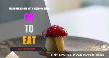 Edible Mushrooms: Understanding Mold on Stems and Safe Consumption